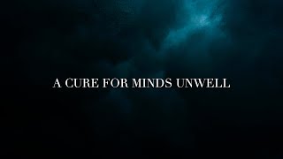 Lewis Capaldi  A Cure For Minds Unwell Lyrics  Cover by Paul Schlott [upl. by Lyontine66]