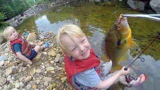 Tiny Creek Fishing  Small creek fishing with bobber and worms  Micro fishing for mummichog [upl. by Beesley490]