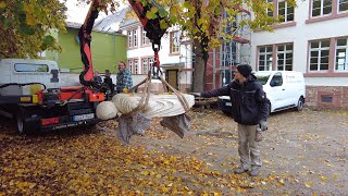 Museum Biebesheim am 41121Der Togatus kehrt zurück [upl. by Catima501]