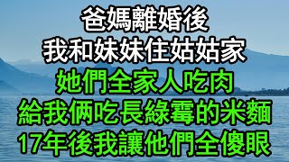 爸媽離婚後，我和妹妹住姑姑家，她們全家人吃肉，給我俩吃長綠霉的米麵，17年後我讓他們全傻眼深夜淺讀 為人處世 生活經驗 情感故事 [upl. by Veneaux658]