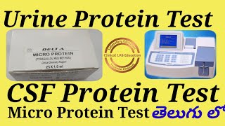 Urine Protein Test And CSF Protein Test in Pyrogallol Red Method in TELUGUDELTA  Erba [upl. by Audy]