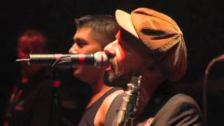 Shantel amp The Bucovina Club Orkestar Live  Disko Partizani  Sziget 2012 [upl. by Erreip]