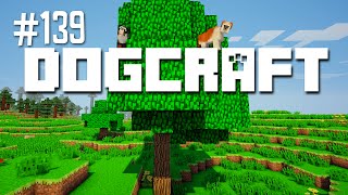 Up a Tree  Dogcraft Ep139 [upl. by Papotto]