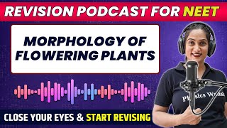 MORPHOLOGY OF FLOWERING PLANTS in 72 Minute  Quick Revision PODCAST  CLASS 11th  NEET [upl. by Grannias]