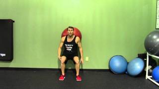 Exercise Ball Wall Squat  HASfit Beginner Squat Exercise Demonstration  Stability Ball Squat [upl. by Gery484]