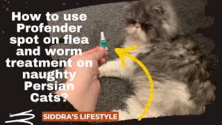 Profender Flea amp Worm Treatment for Cats Profender Flea Worm Treatment Cats [upl. by Nolie]