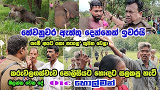 ඇත්තු දෙකක් ඉවරයි පොලිසියට වෙච්ච දේහිතපු නැති දෙයක් වුනේතේවනුවර Rowan Production GossipNews [upl. by Siuraj27]