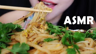 ASMR Eating No Talking  Udon Stir Fry うどん EATING SOUNDS  Binaural Mukbang 먹방  食べる音  Abbey ASMR [upl. by Sirred244]