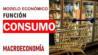 Macroeconomía función de consumo [upl. by Arval]