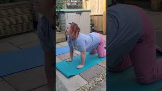 Floor Core amp Yoga 4010 x3Downward Dog  Cobra  Cat  Cow Beetle On Back  HealToe Touches [upl. by Ymmot653]