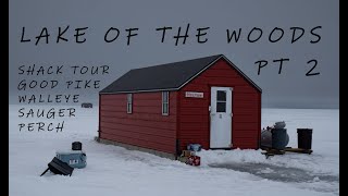 lake of the woods pt 2 more walleye perch sauger and pike [upl. by Eanej]