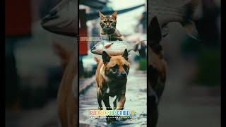 beautiful Cute Cat and dog 💕🥀catvideos meow biral dog cat [upl. by Eleanora488]