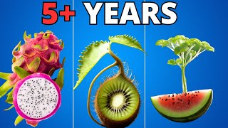 I Grew Plants for 5 YEARS to Make This TIMELAPSE Compilation [upl. by Sharai804]