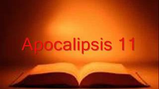 APOCALIPSIS completo Biblia hablada RV 1960 [upl. by Combe]