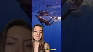 Shark diving expert advice ￼ 😅 sharkweek shark trending shortsvideo [upl. by Ennovehs]