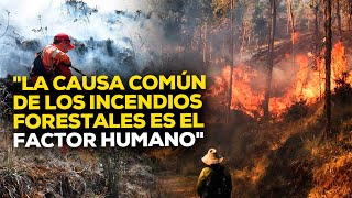 Serfor Más de 4 mil incendios forestales hasta julio del 2024 ROTATIVARPP  ENTREVISTA [upl. by Johnston]