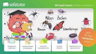 Systematik der Wirbellosen einfach erklärt – Biologie 7 amp 8 Klasse [upl. by Maiah]