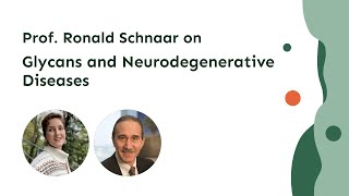 Glycans and Neurodegenerative Diseases A New Perspective on Alzheimers with Prof Ronald Schnaar [upl. by Nuzzi]