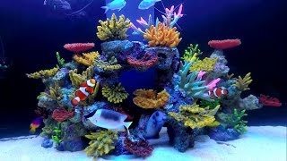 Aqua Reef 400 White Set Up HD Greenacres [upl. by Sheffy]