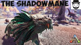 How To Tame The Shadowmane A Complete Guide [upl. by Dogs]