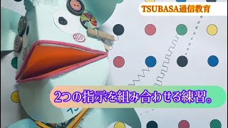 ２つの指示を組み合わせる運筆練習。小学校受験 [upl. by Efron]