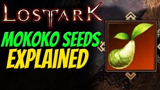 MOKOKO SEEDS EXPLAINED in Lost Ark  All Rewards amp Why to collect [upl. by Sonni]