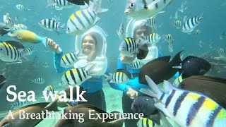 🌊🐠 An unforgettable underwater adventure SeaWalk BucketList [upl. by Serrell]