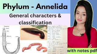 phylumAnnelida L1phylum annelida bsc 1st year zoology annelida general characters amp classify [upl. by Abisia]