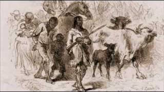 DNA PROVES Blacks africans are NOT native americans [upl. by Akcebar]