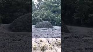 Exploring the potentially DANGEROUS Mud Volcano in Malaysia shorts caughtoncameraunbelievable [upl. by Grimbly]