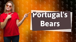 Are there bears in Portugal [upl. by Suivatal]