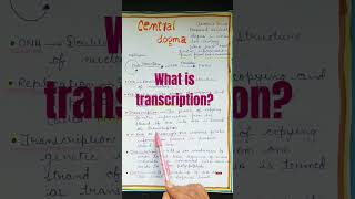 What is Transcription  How mRNA synthesis shorts mRNAsynthesis transcription [upl. by Delphine]