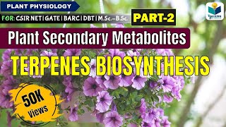 PLANTS SECONDARY METABOLITES PART2 TERPENES BIOSYNTHESIS CSIR NET [upl. by Assiralc]