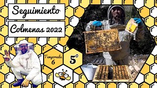 Apicultura 2022  Seguimiento Nº5 🐝🧡🎥 20 de Febrero 2022 [upl. by Accisej]