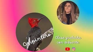 Clase gratuita  Pájaro carpintero [upl. by Klinger]