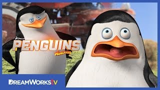 DreamWorks Madagascar  Penguins of Madagascar Zooster Interview  Kids Movies [upl. by Gnehc]