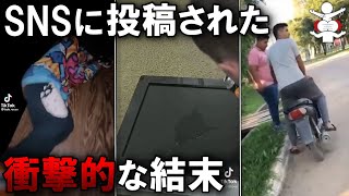 【笑撃映像】SNSに投稿された予想できない結末 9選 [upl. by Rapsac985]