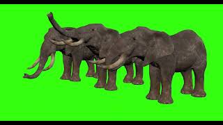 ELEPHALT 30  GREEN SCREEN  4k  ANIMATION  FREE 3D [upl. by Ecilahc]