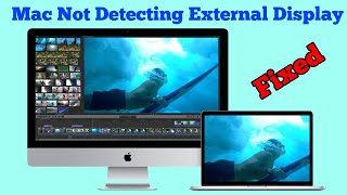 macOS SequoiaSonoma Not Detecting External MonitorDisplay  Fixed 2024 [upl. by Hareenum]