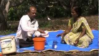 Preparation of bordo paste Kannada BAIF Karnataka [upl. by Amersham886]