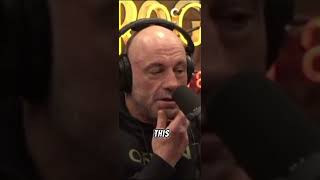 Joe Rogan’s REAL thoughts on the carnivore diet [upl. by Alexandria159]