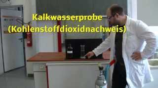 Kalkwasserprobe Kohlenstoffdioxidnachweis [upl. by Ecnerolf941]