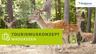 Tourismuskonzept Wadgassen  Neugestaltung von Wildpark Hallenbad und Sauna 🦌🌳 [upl. by Hooge]