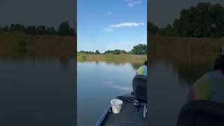 Palarm Creek fishing [upl. by Betthezel]