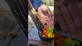 Iscas de frango 😋🏕️ cooking comida natureza food recipe nature asmr [upl. by Monteith]