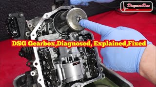 DSG Gearbox Diagnosed explained Fixed [upl. by Legge]