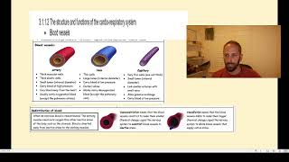 Testing paper 1 GCSE PE Revision Live [upl. by Ahsinam]