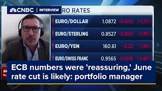 Numbers from the ECB were reassuring and a June rate cut is likely portfolio manager says [upl. by Aiekat]