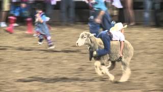 Spanish Fork Rodeo mutton busting [upl. by Duvall]