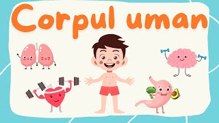 Călătorie în coprul uman ❤️ Video Educațional pentru Copii [upl. by Anirtruc]